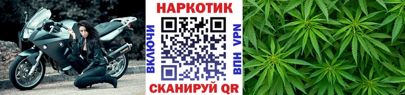 Магазины продажи наркотиков Кашин mega онион  ГАШИШ  Галлюциногенные грибы  Марихуана  Амфетамин  Cocaine 