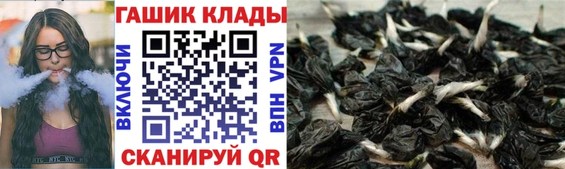 Гашиш Ice-O-Lator  Кашин 