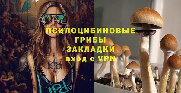 дурь Алексеевка